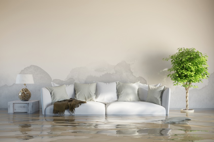 4 Tips Membersihkan Rumah Pasca Banjir